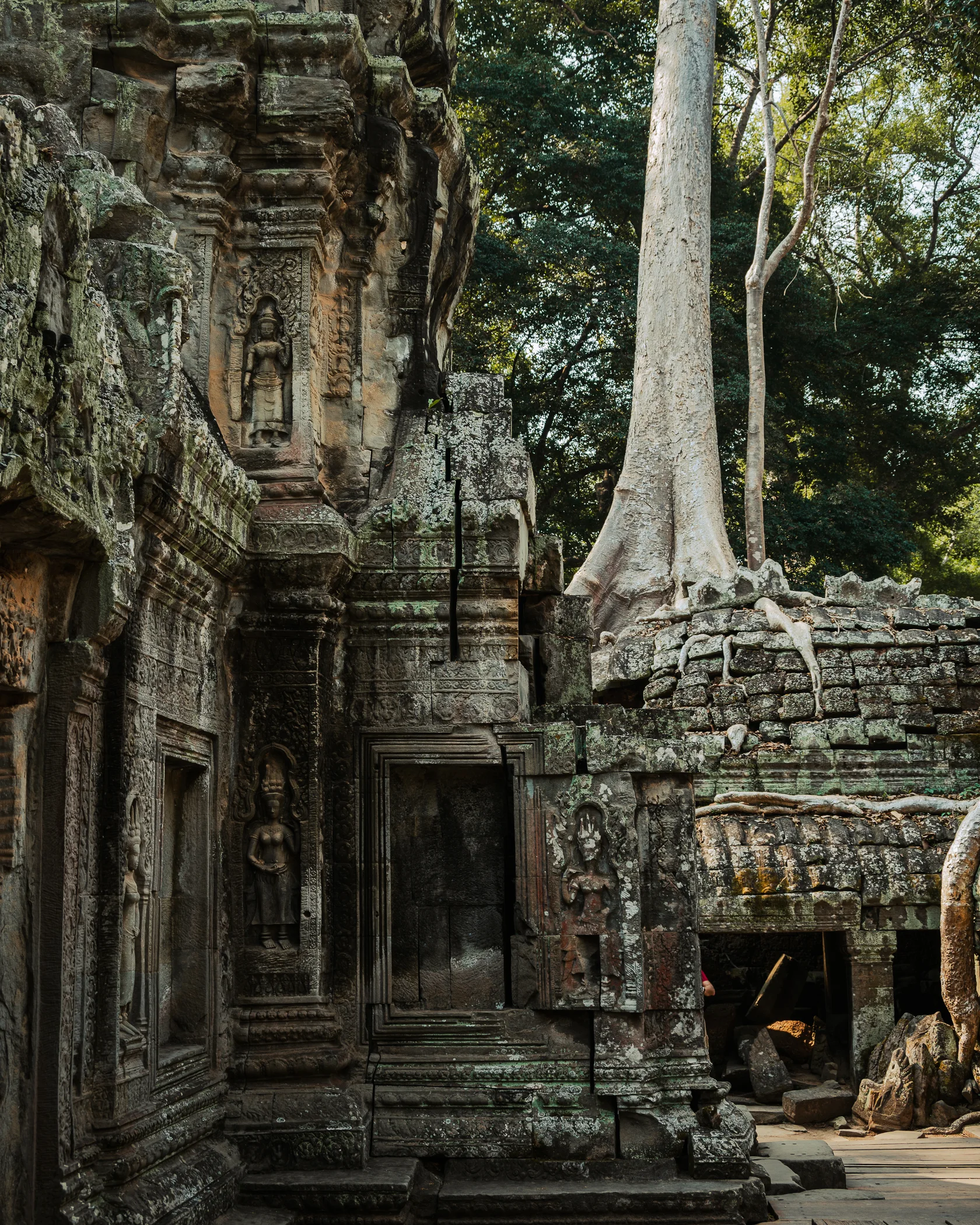 Siem Riep #10, Siem Riep, Cambodia