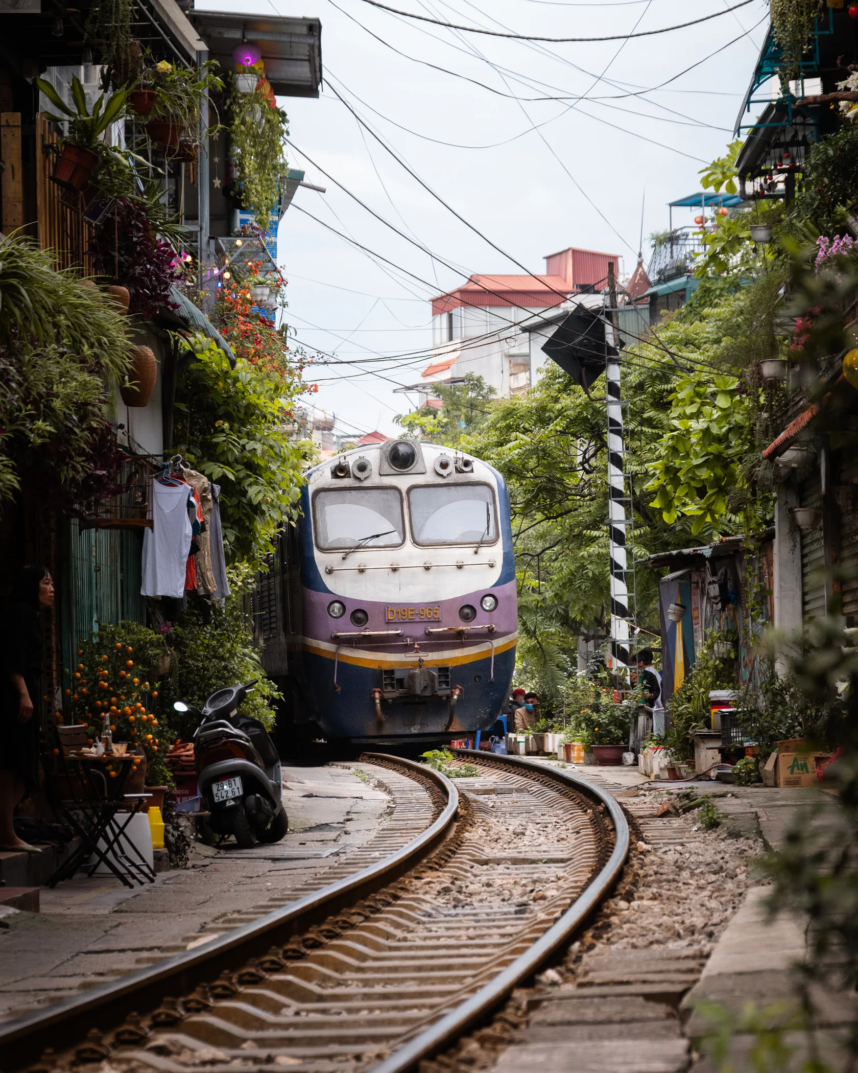 Vietnam #36, Vietnam