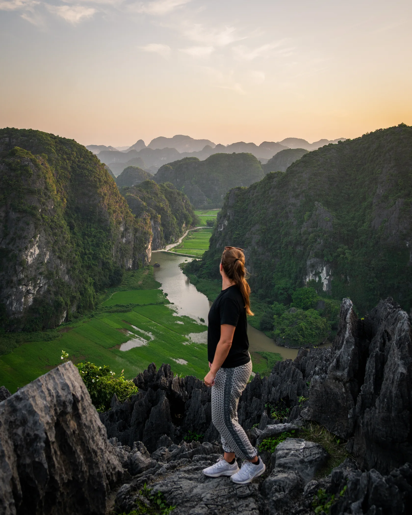 Vietnam #42, Vietnam