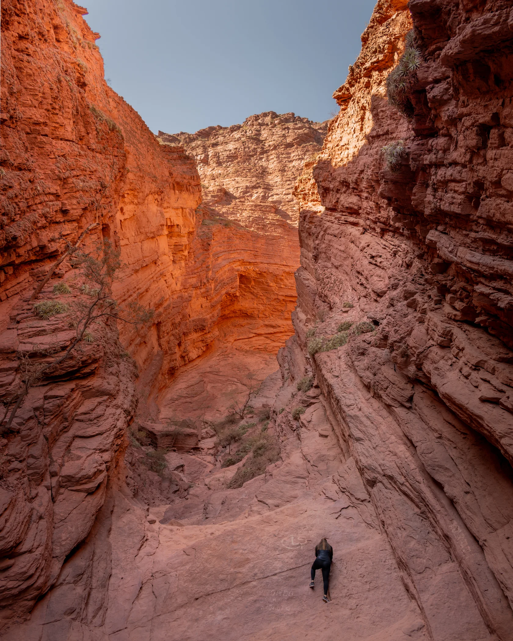 Cafayate #5, Cafayate, Argentina