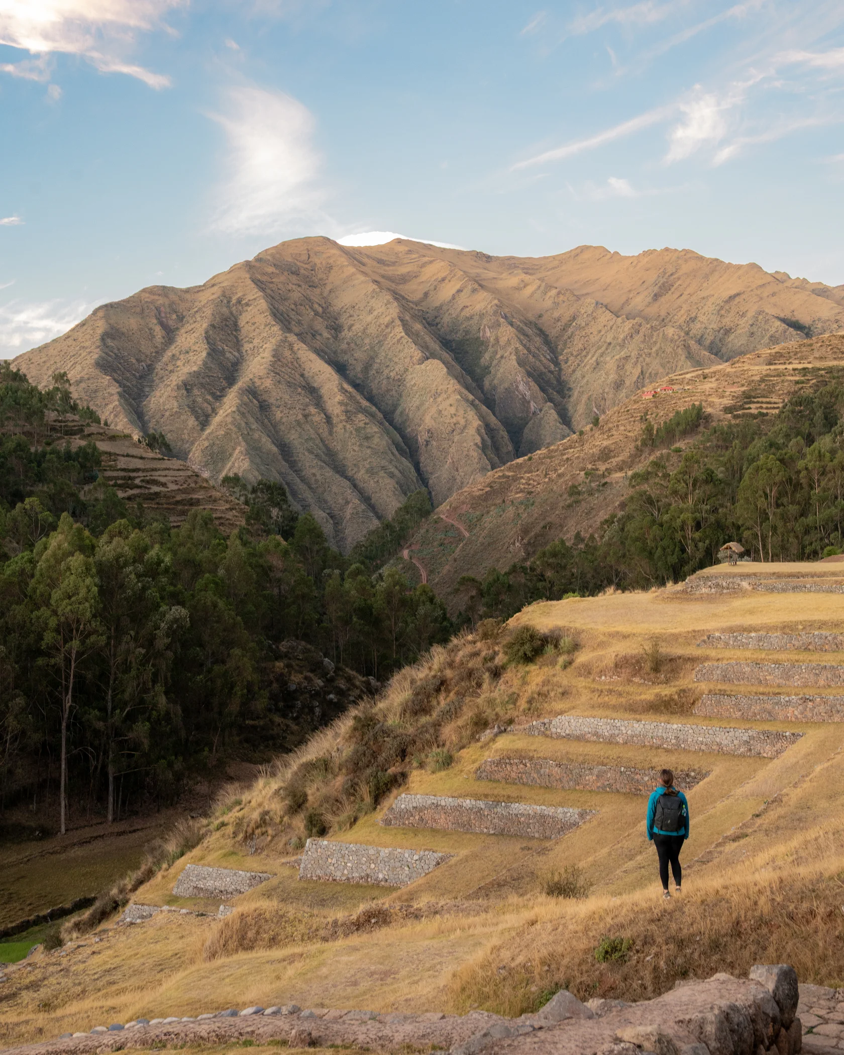 Peru #5, Peru